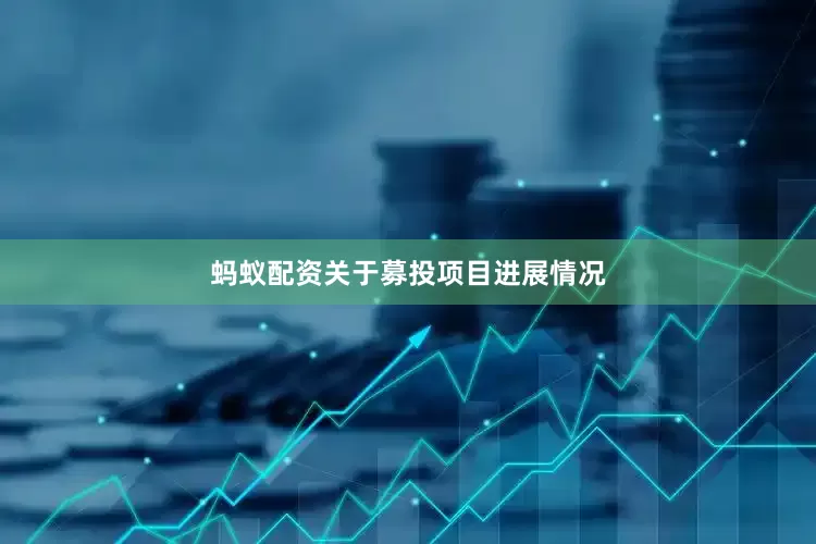 蚂蚁配资关于募投项目进展情况