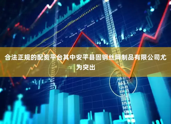 合法正规的配资平台其中安平县固钢丝网制品有限公司尤为突出